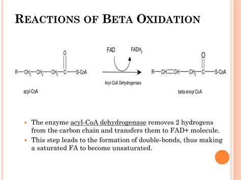 What exactly are beta.